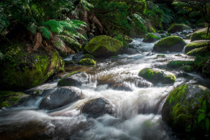 Water Quality Testing