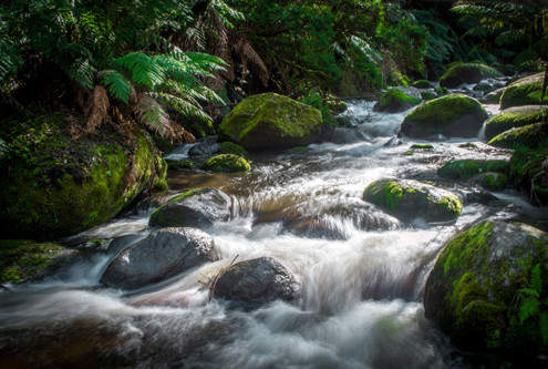 Water Quality Testing